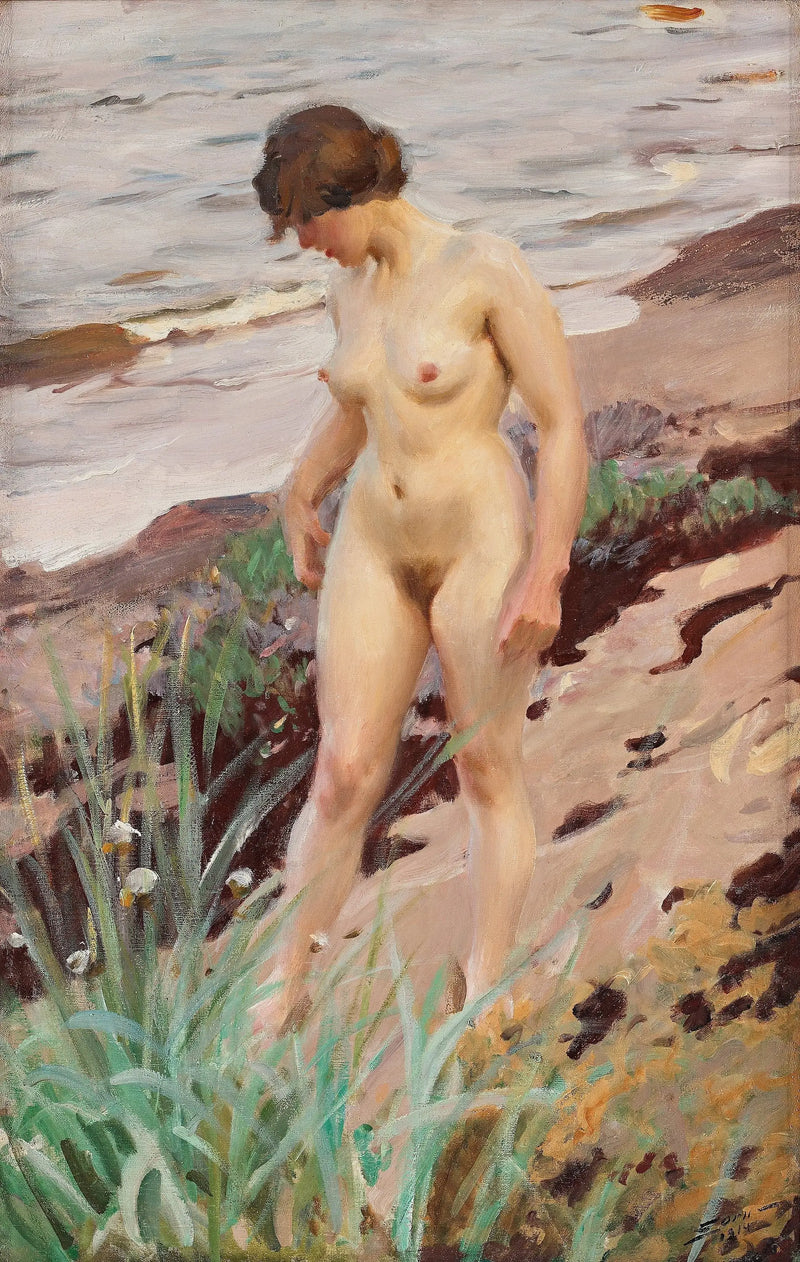 Sandhamn-efekti - Anders Zorn