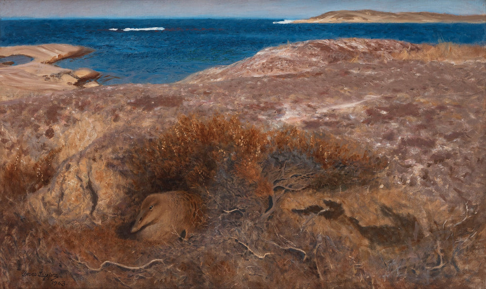 Haahka - Bruno Liljefors