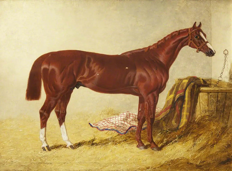 Elis, voittaja St Leger Stakesissä, 1836, erillisessä karsinassa - John Frederick Herring, Sr.