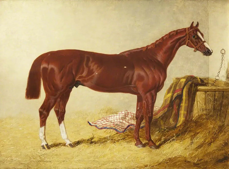 Elis, voittaja St Leger Stakesissä, 1836, erillisessä karsinassa - John Frederick Herring, Sr.
