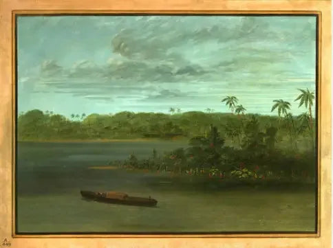 Rio Purus'n suukappale - George Catlin