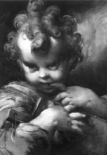 Pyhä Jeesus-lapsi - Parmigianino
