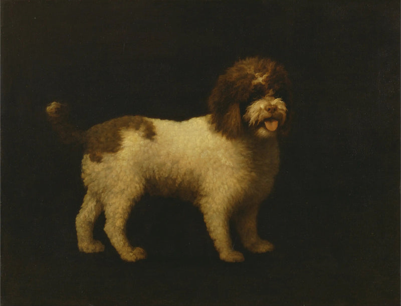 Vesikoira - George Stubbs