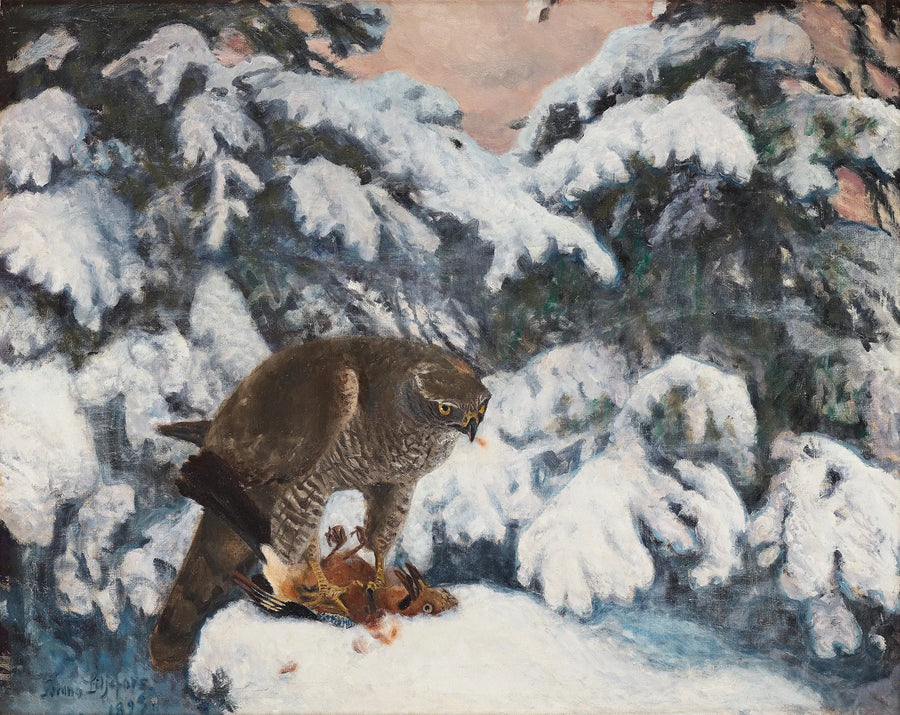 Haukka saaliinsa kanssa - Bruno Liljefors