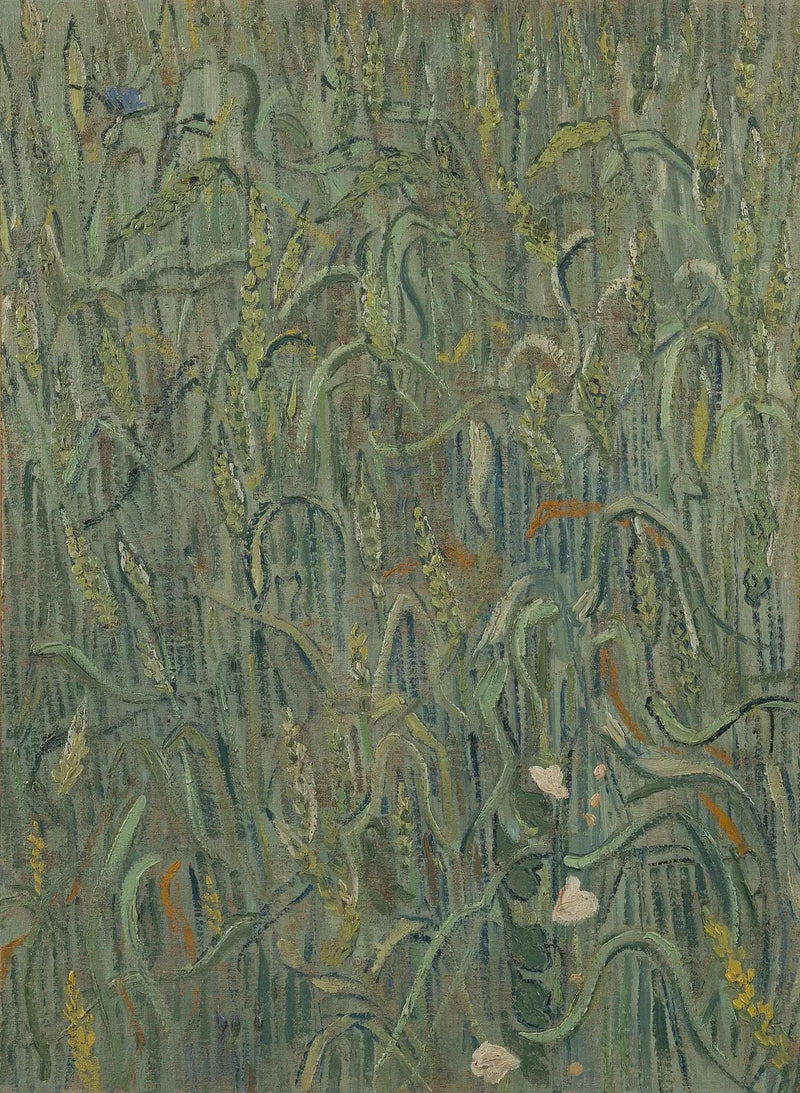 Vehnän tähkät - Vincent van Gogh