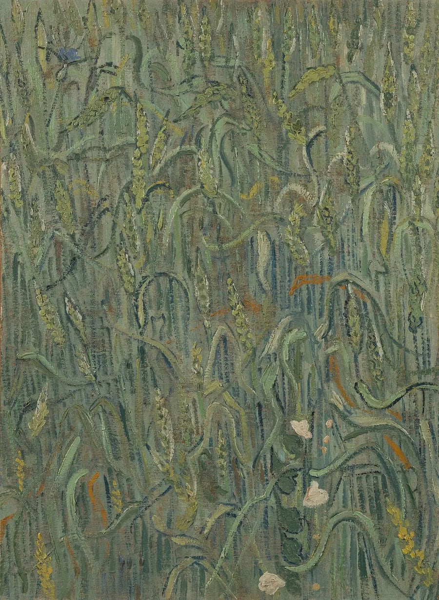Vehnän tähkät - Vincent van Gogh