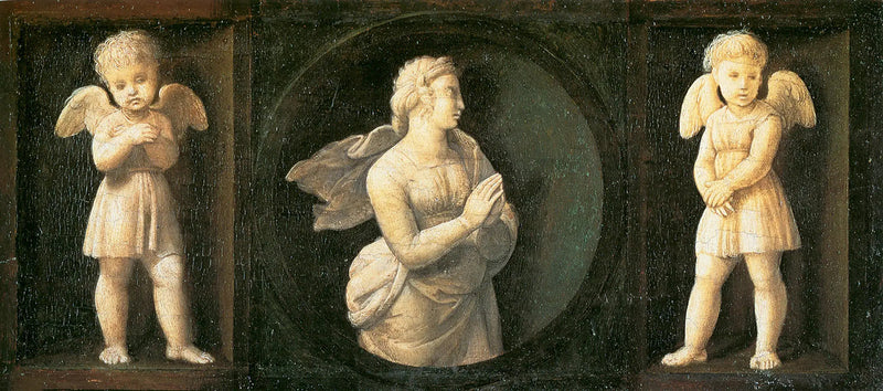 Toivo - Raphael Sanzio