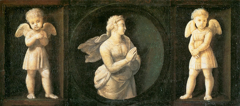 Toivo - Raphael Sanzio