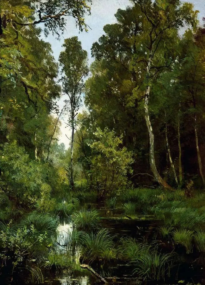 Merta kasvillisuuden valtaamana metsän reunassa. Siverskaya - Ivan Chichkine