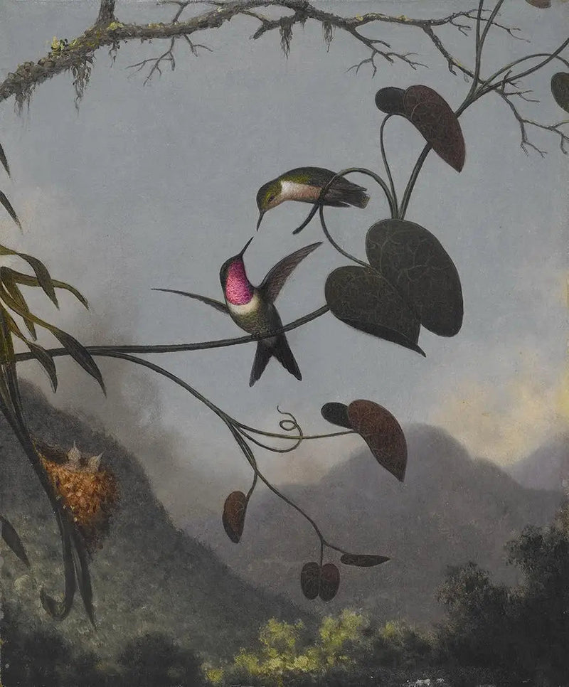Amethysti puun tähti - Martin Johnson Heade