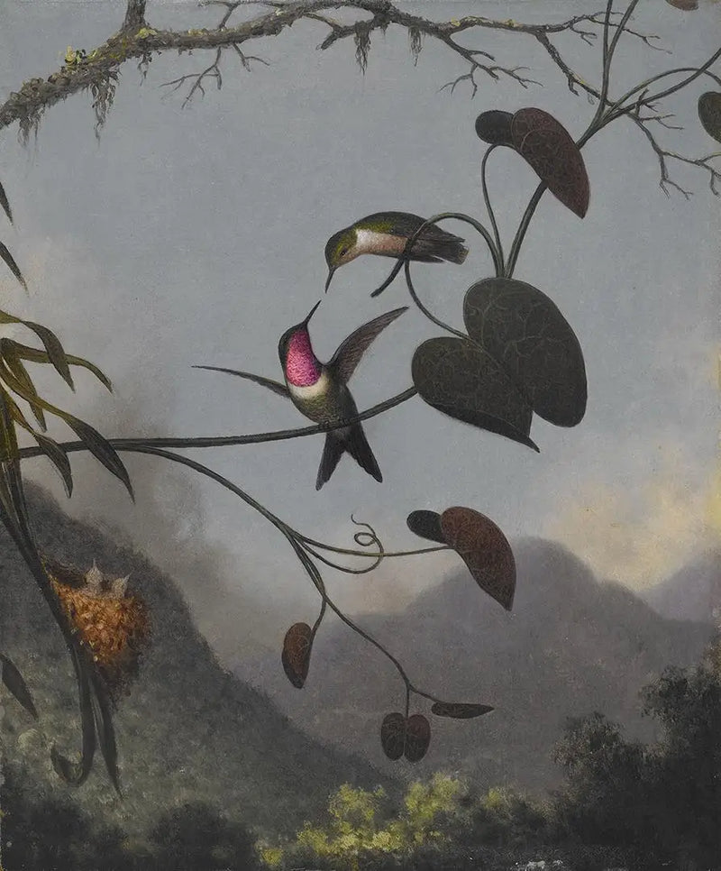 Amethysti puun tähti - Martin Johnson Heade
