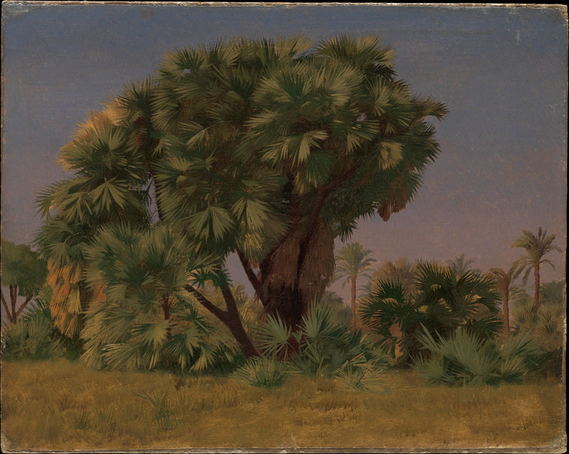 Étude des palmiers - Jean-Léon Gérôme
