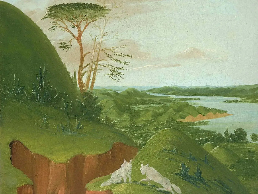 Joki- ja vuoristokallioita, joissa valkoisia susia etualalla, Haut-Missouri - George Catlin