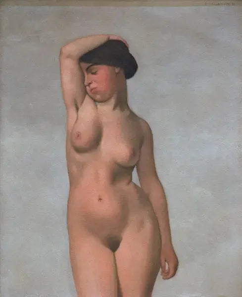 Naimaton nainen ja kohotettu rintaliivit - Félix Vallotton