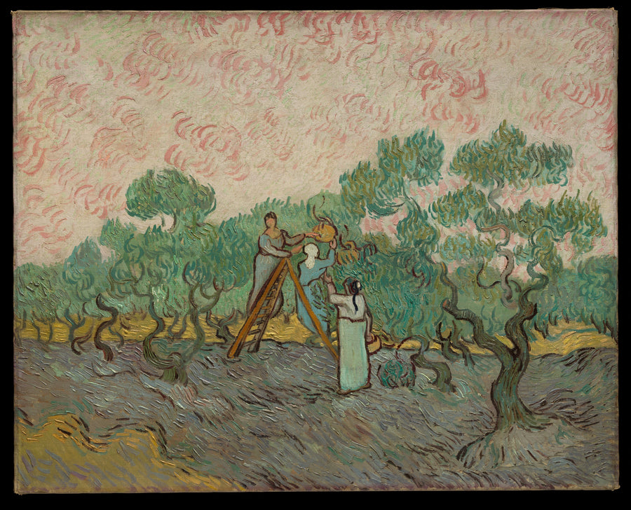 Naiset keräämässä oliiveja - Vincent van Gogh