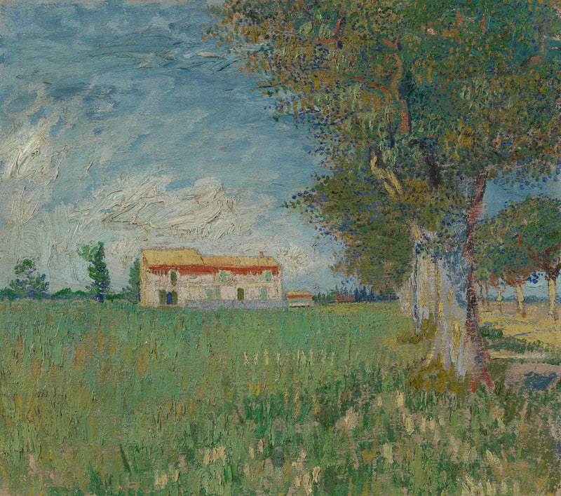 Viljapellon päällä - Vincent van Gogh