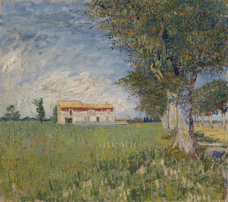 Viljapellon päällä - Vincent van Gogh