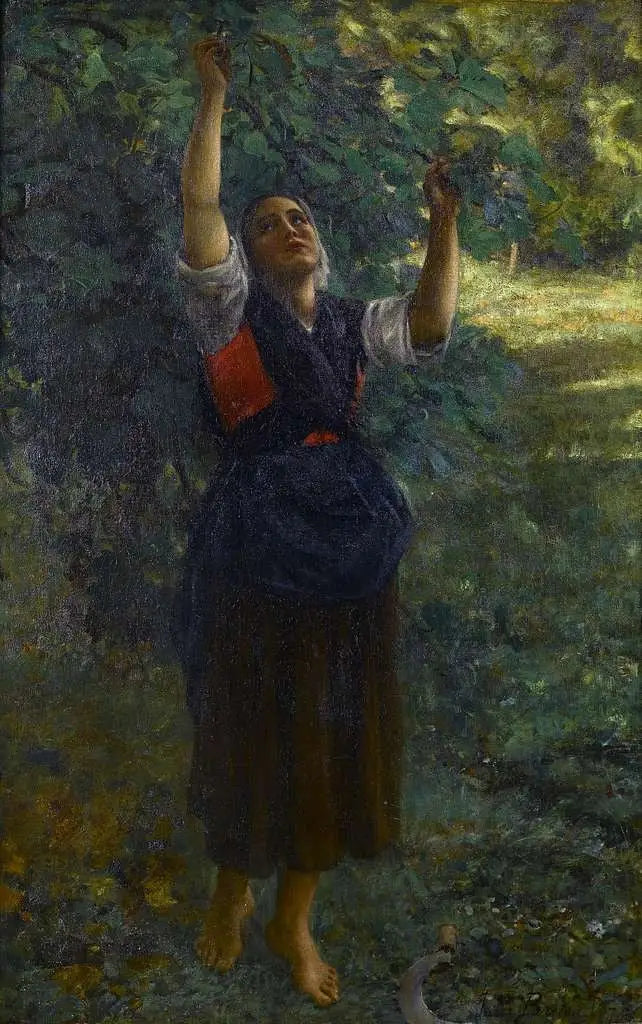 Tytär poimimassa viikunoita - Jules Breton