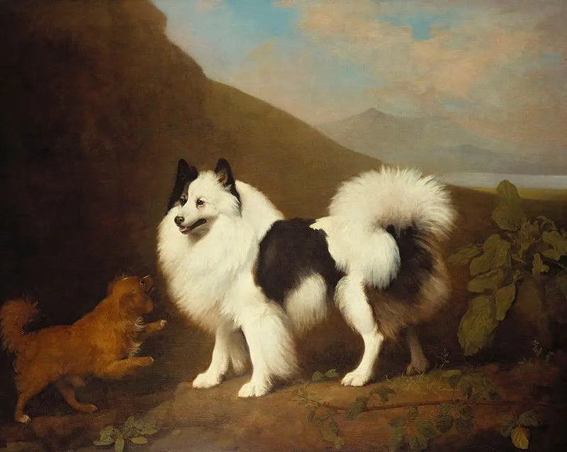 Fino ja Tiny - George Stubbs