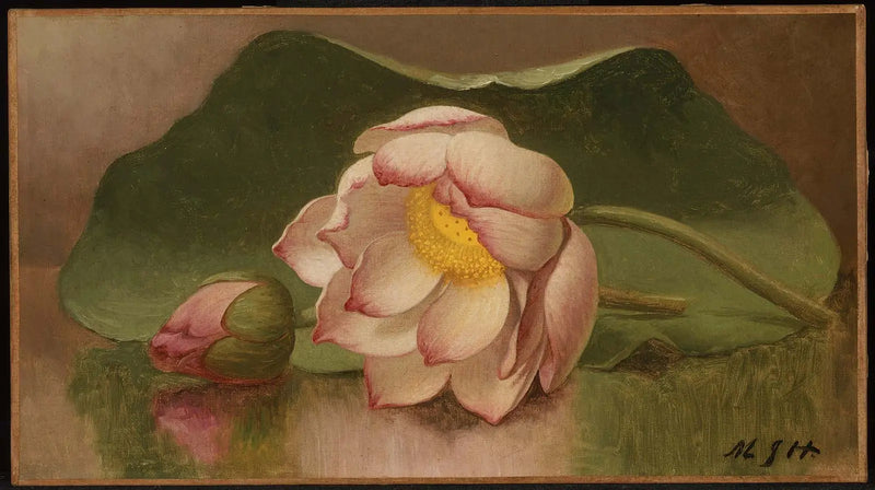 Lootuksenkukka - Martin Johnson Heade