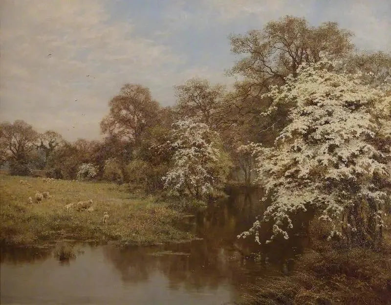 Vadelman kukat - Edward Wilkins Waite