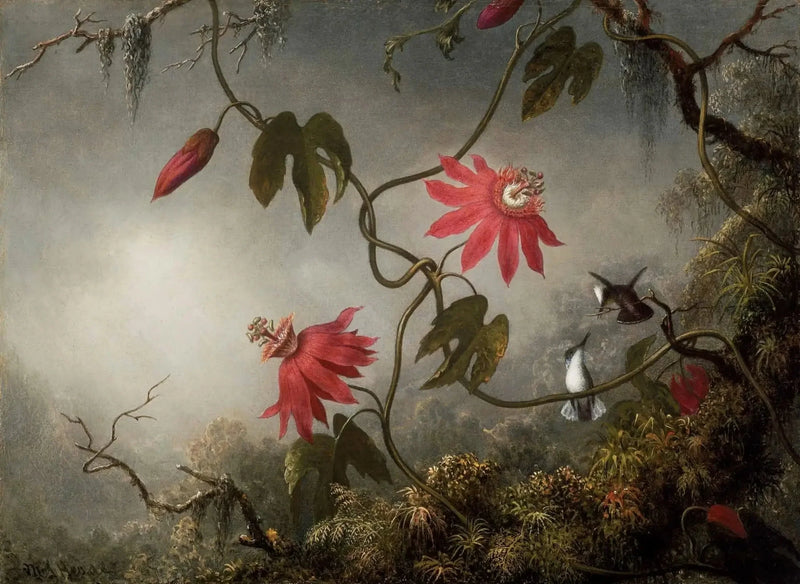 Rakkauden ja kolibrit kukat - Martin Johnson Heade