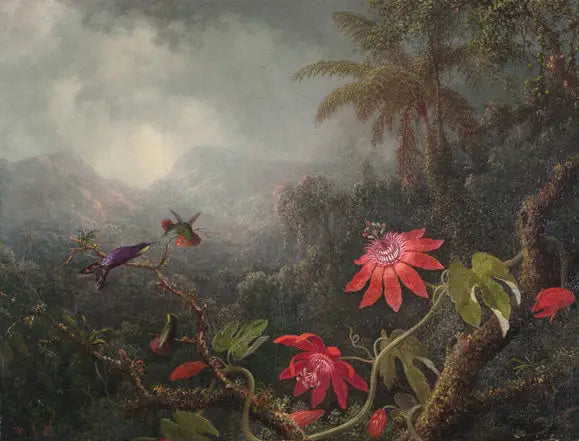 Passionin kukat ja Kolme kolibriä - Martin Johnson Heade
