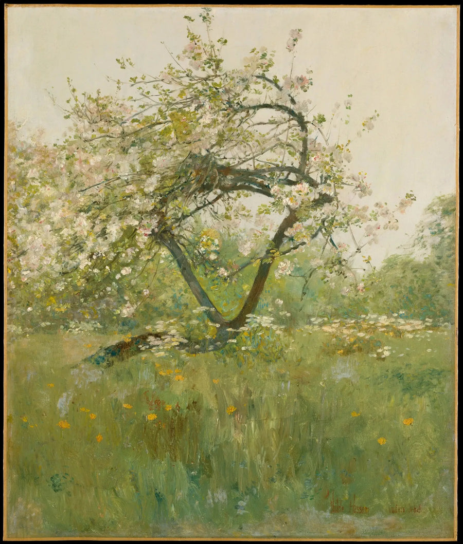 Persikan kukat — Villiers-le-Bel - Childe Hassam