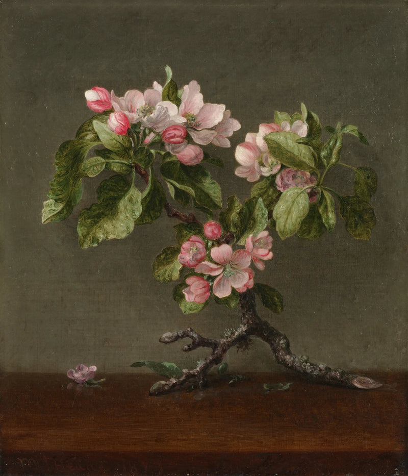 omenapuun kukat - Martin Johnson Heade