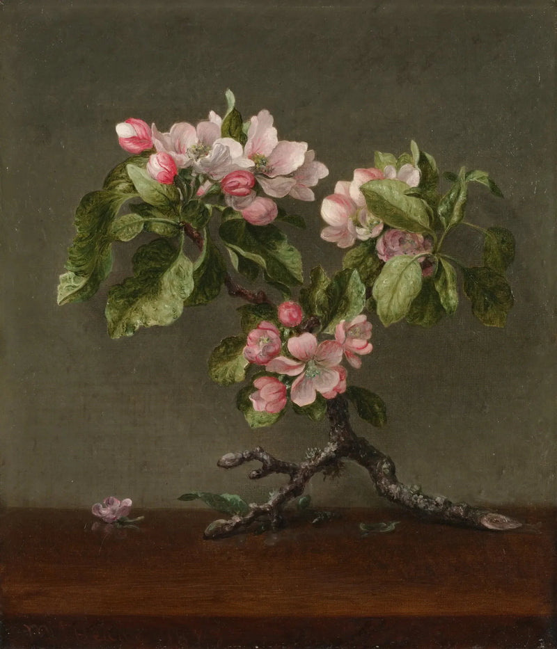 omenapuun kukat - Martin Johnson Heade