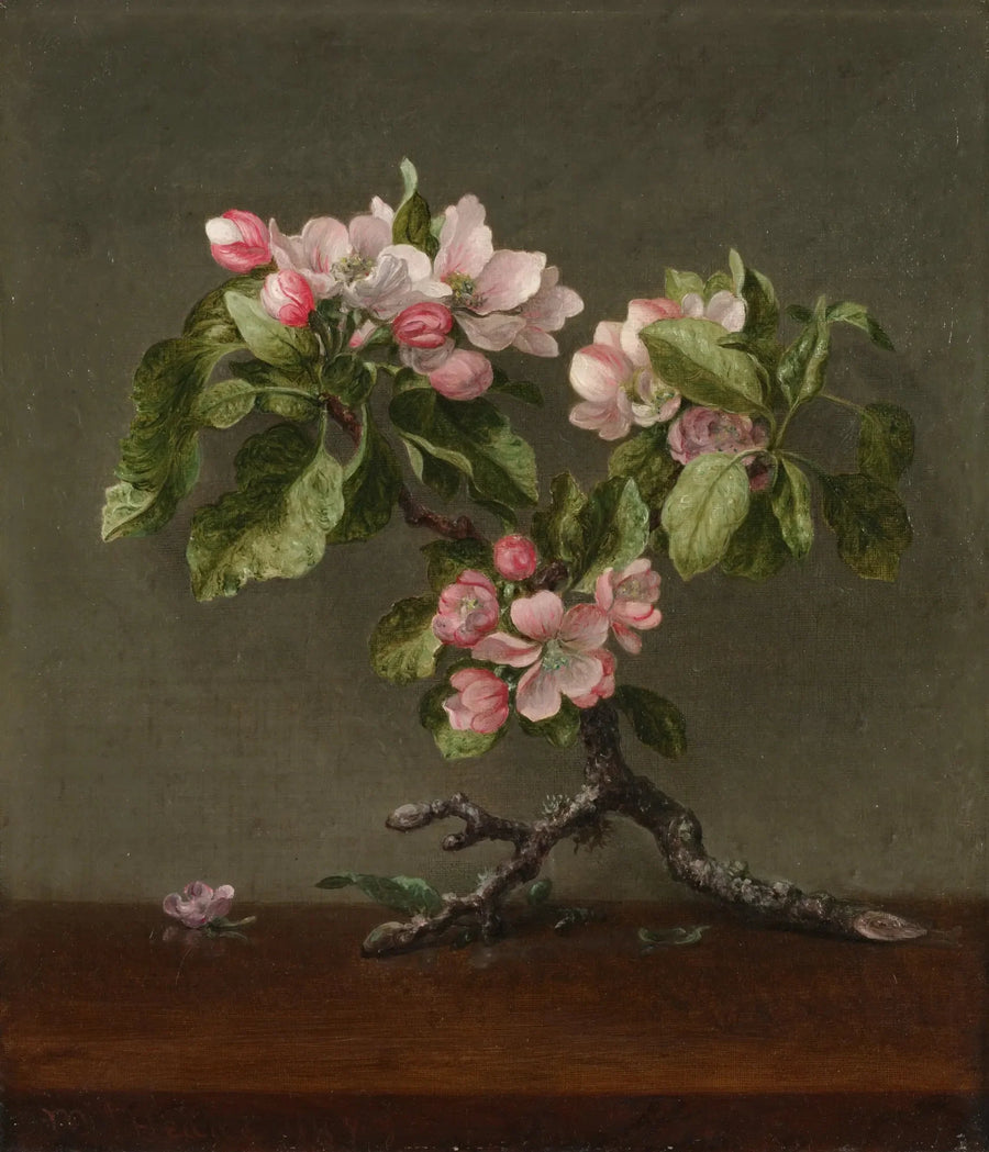 omenapuun kukat - Martin Johnson Heade