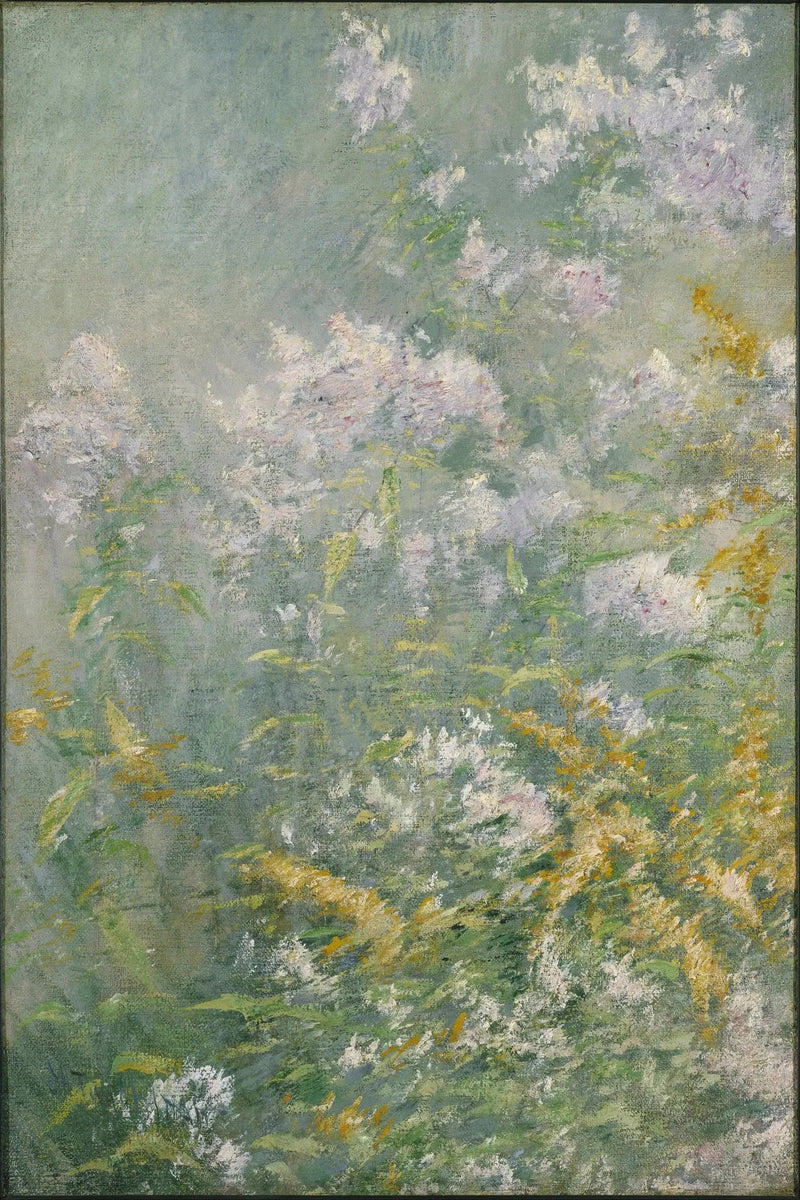 Niittykukkia (Kultapiisku ja Villiauringo) - John Henry Twachtman