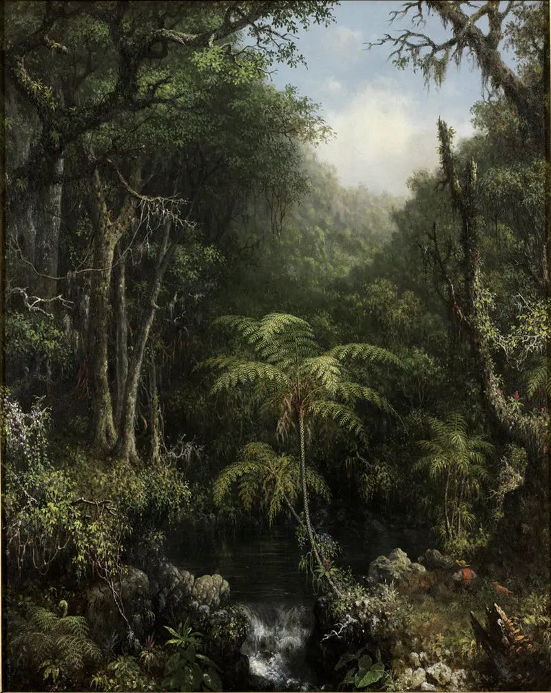 Brasilianinen metsä - Martin Johnson Heade