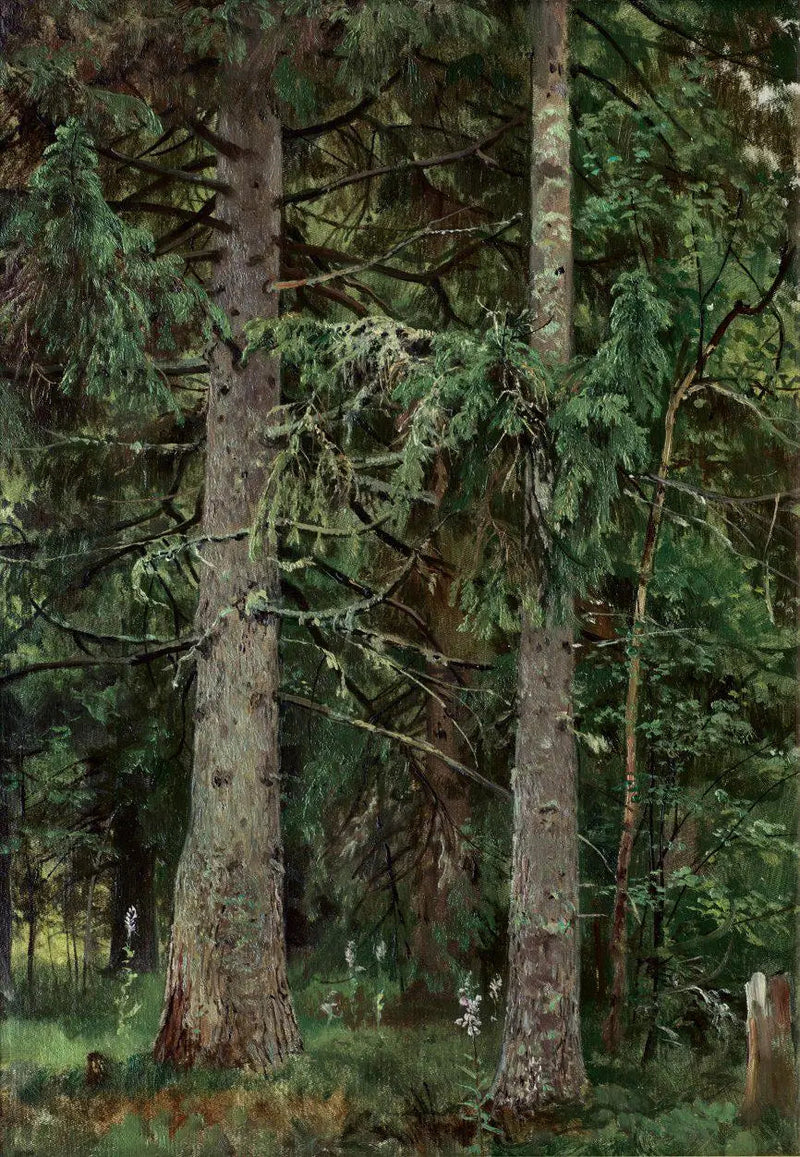 Kuusimetsä - Ivan Chichkine