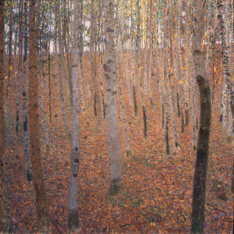 Hieskoivumetsä - Gustav Klimt