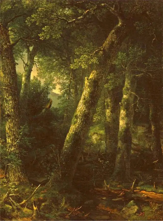 Aamuvalossa oleva metsä - Asher Brown Durand