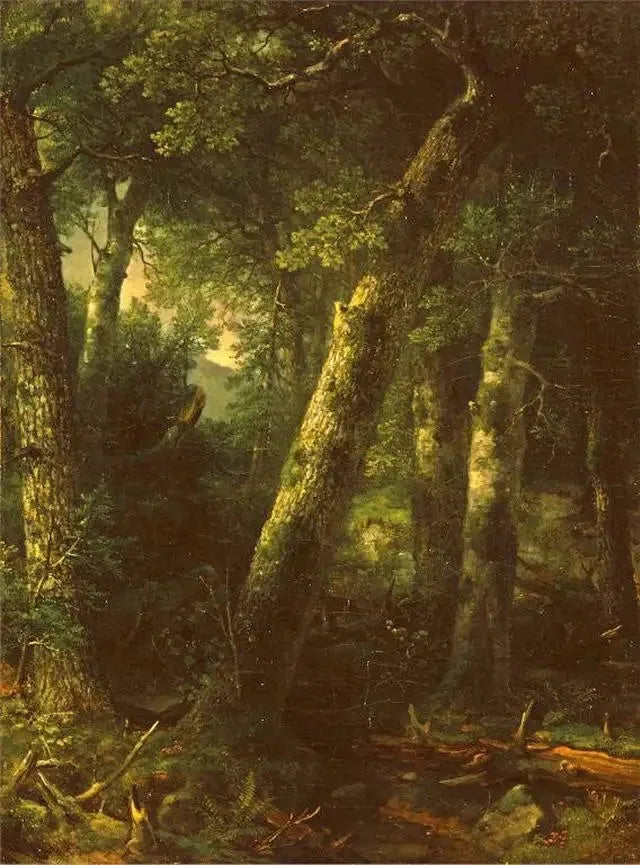 Aamuvalossa oleva metsä - Asher Brown Durand
