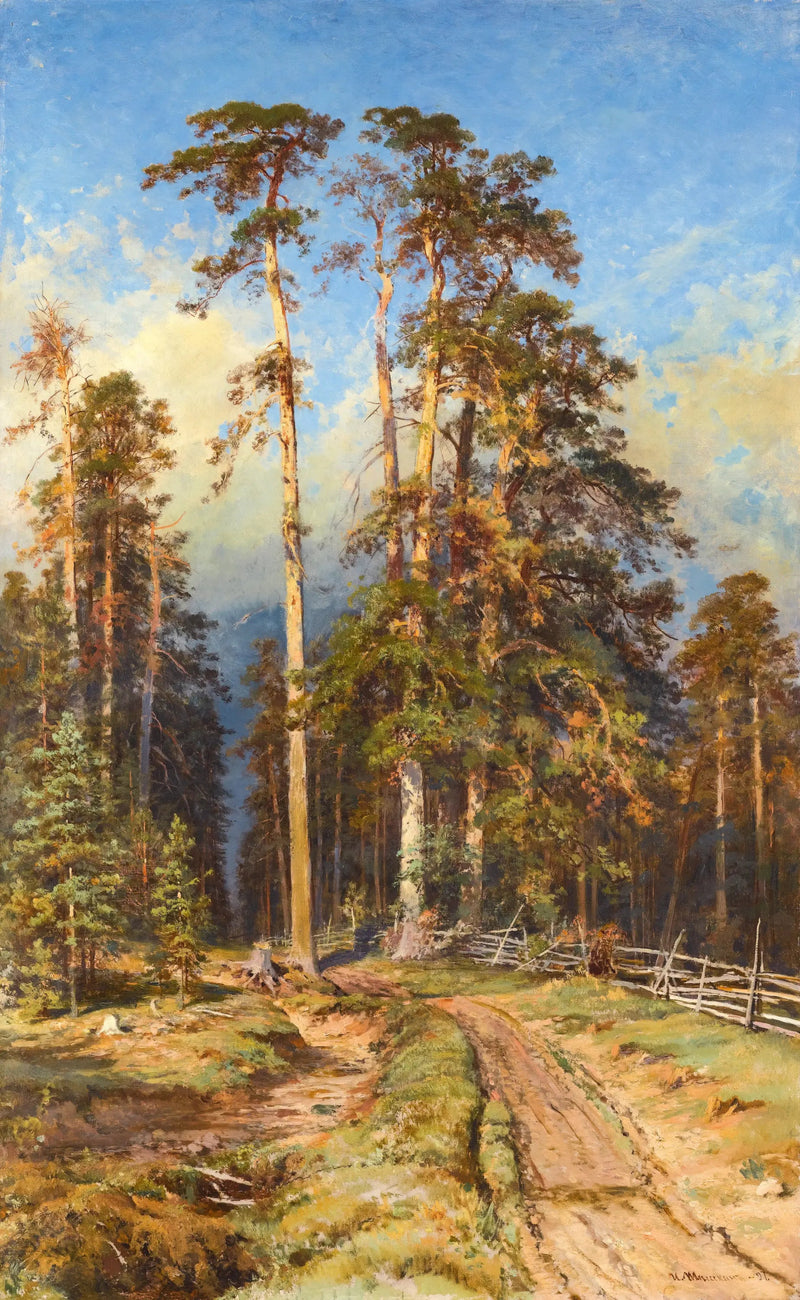 Männikkö metsä - Ivan Chichkine