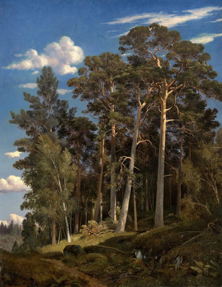 Mäntymetsä - Ivan Chichkine