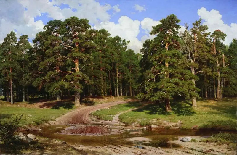Mäntymetsä - Ivan Chichkine