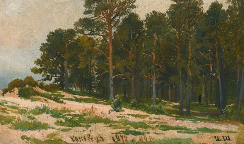 Mäntymetsä - Ivan Chichkine
