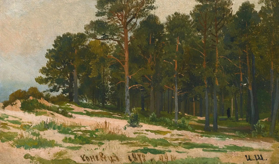 Mäntymetsä - Ivan Chichkine