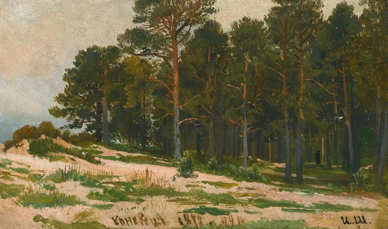 Männikkö metsä - Ivan Chichkine