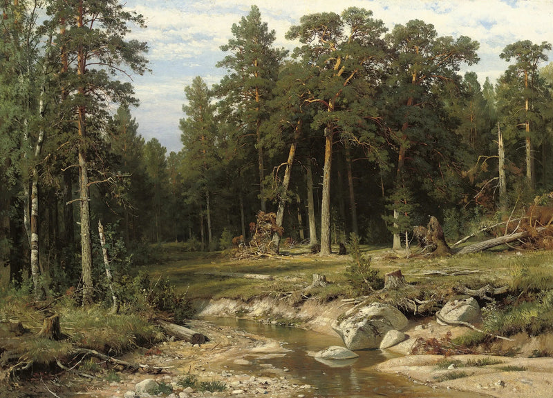 Viatkan maakunnan mäntymetsä ja pylväät - Ivan Chichkine