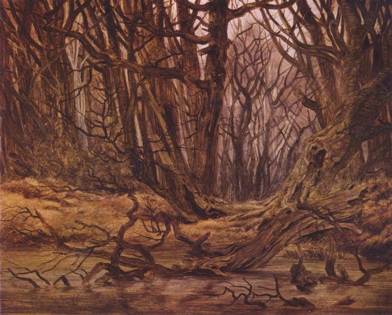 metsä myöhäisessä syksyssä - Caspar David Friedrich