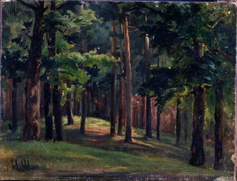 Metsä - Ivan Chichkine