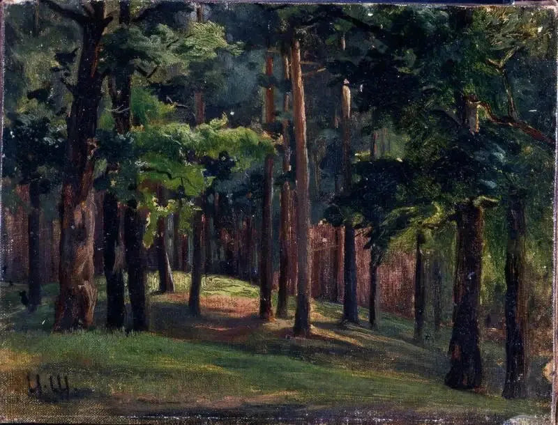 Metsä - Ivan Chichkine