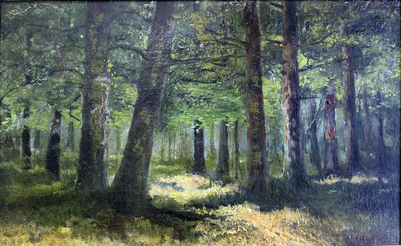 Metsä - Ivan Chichkine