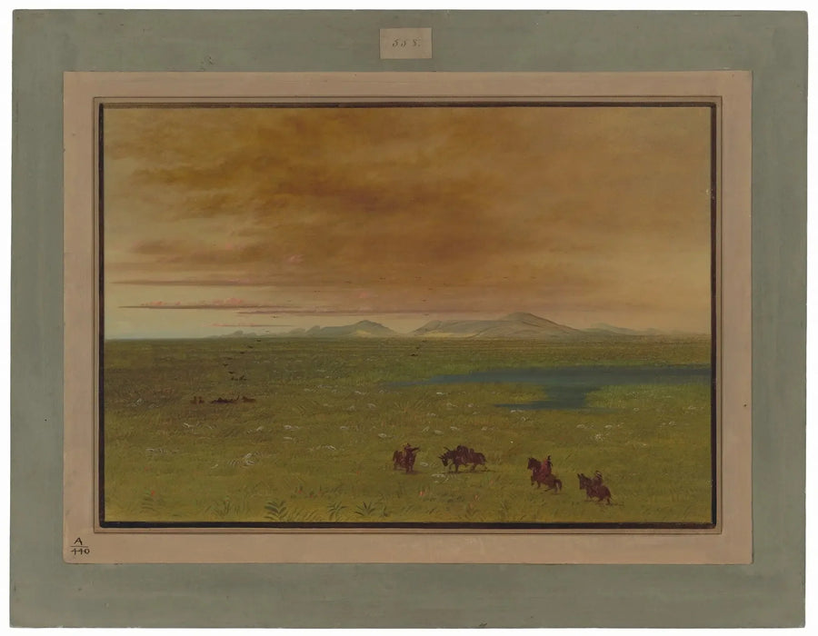 Suuri pesula, Pampa del Sacramento - George Catlin