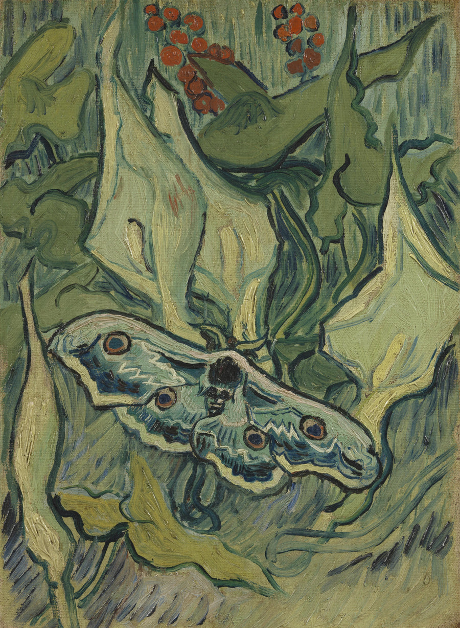 Suuri yöperhonen - Vincent van Gogh